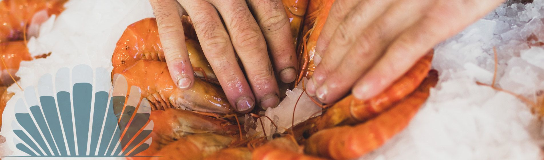 Degustation fruit de mer