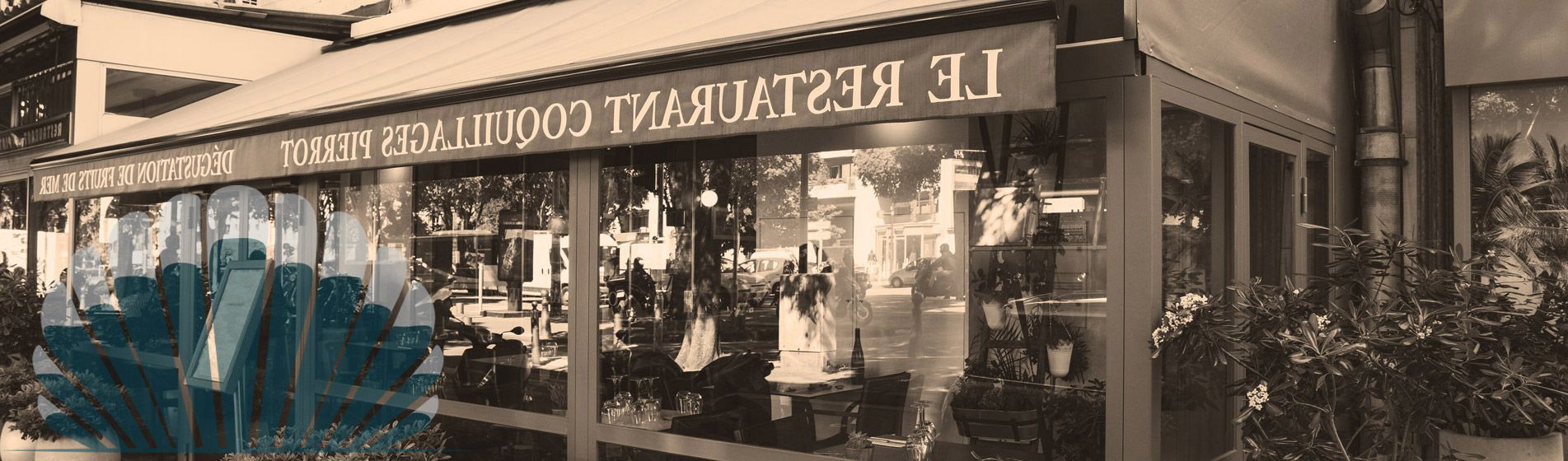 Plateau fruit de mer ouvert dimanche