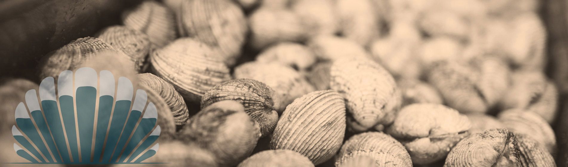 Degustation fruit de mer