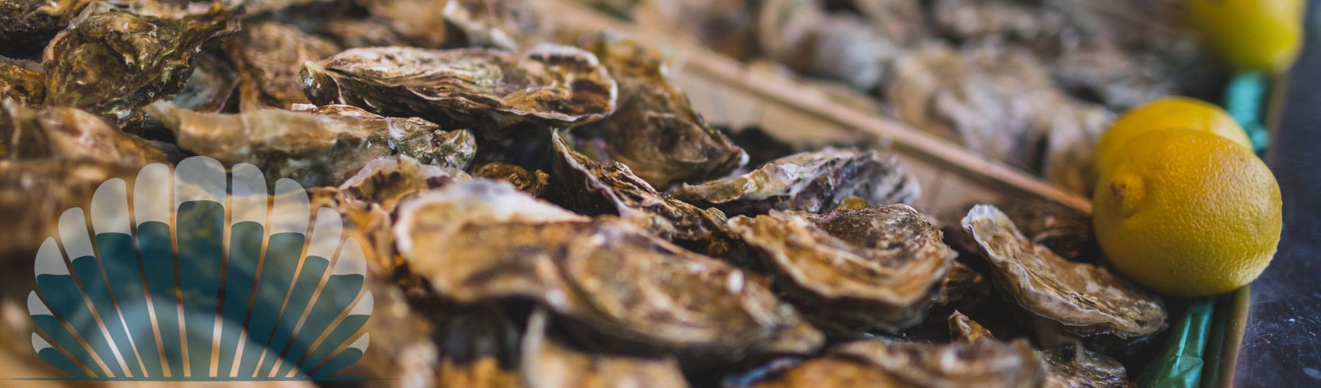 Fruit de mer proximite