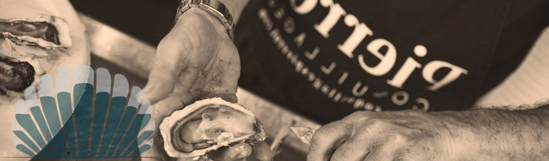 Plateau fruit de mer proximite