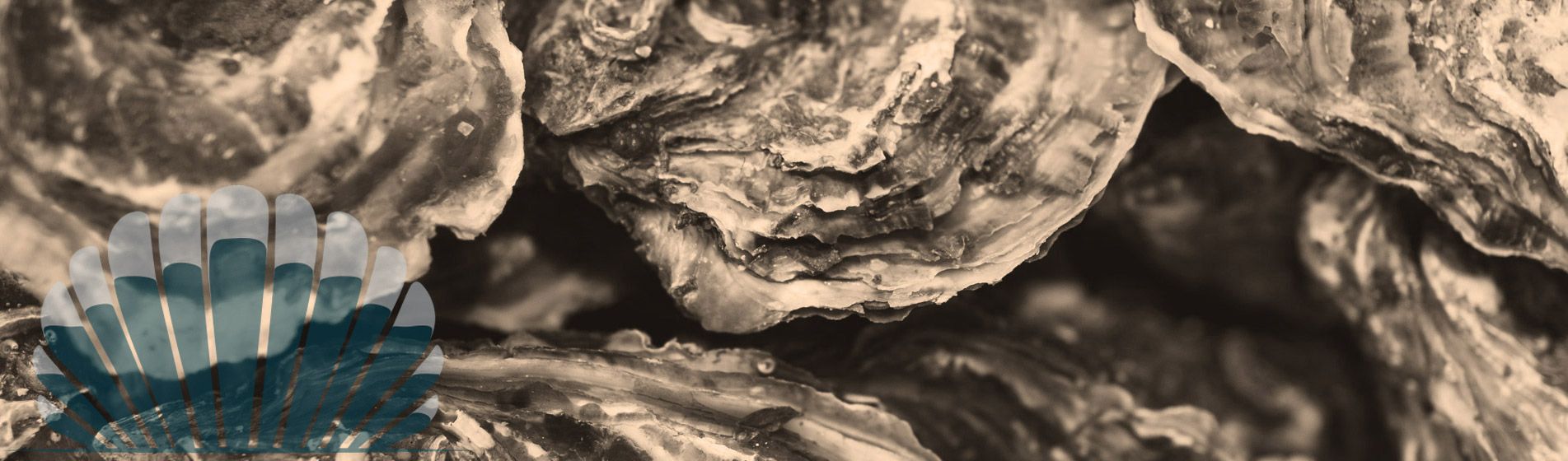 Restaurant fruit de mer