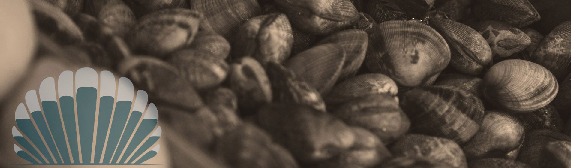 Plateau fruit de mer cru