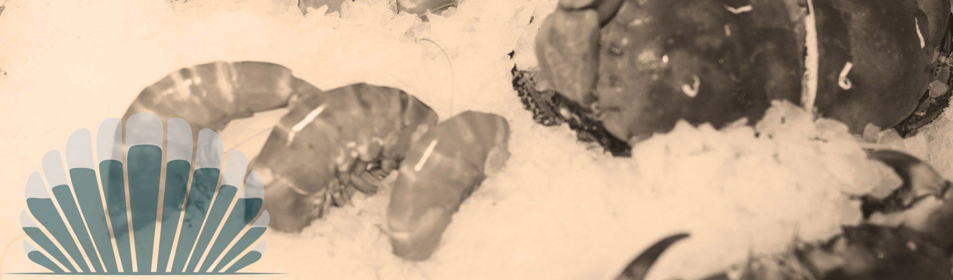 Fruit de mer proximite