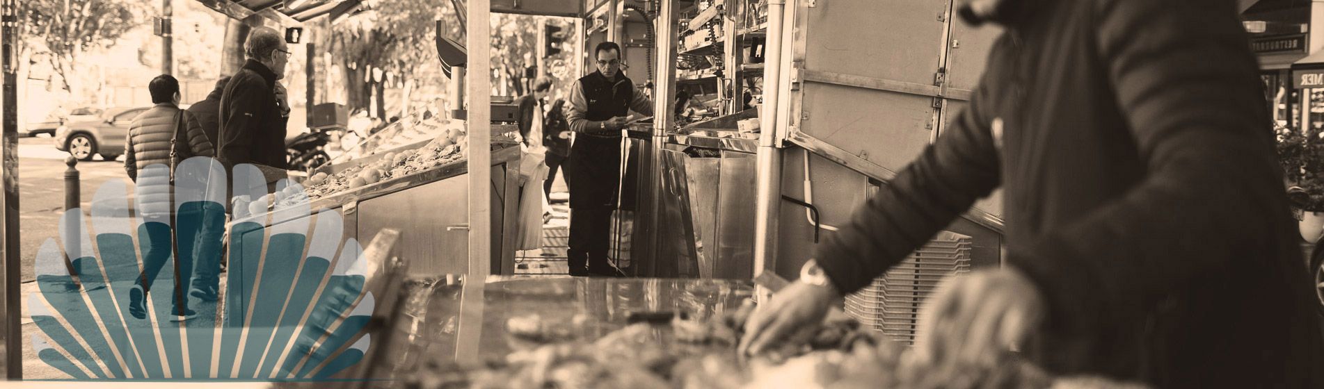 Fruit de mer Septèmes-Les-Vallons (13240)