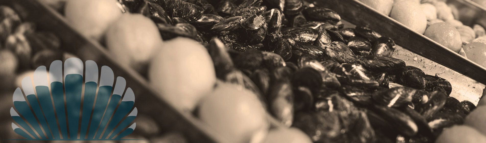 Plateau fruit de mer cru