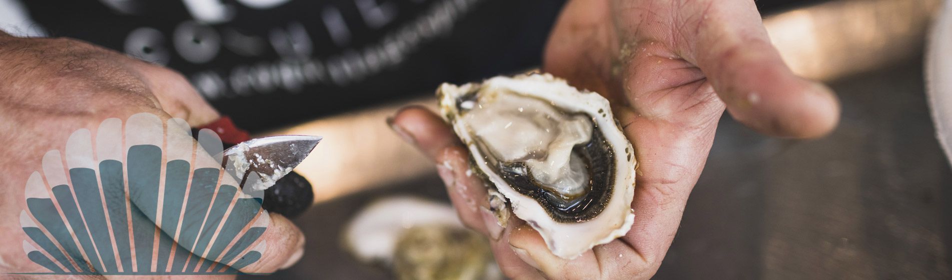 Degustation fruit de mer