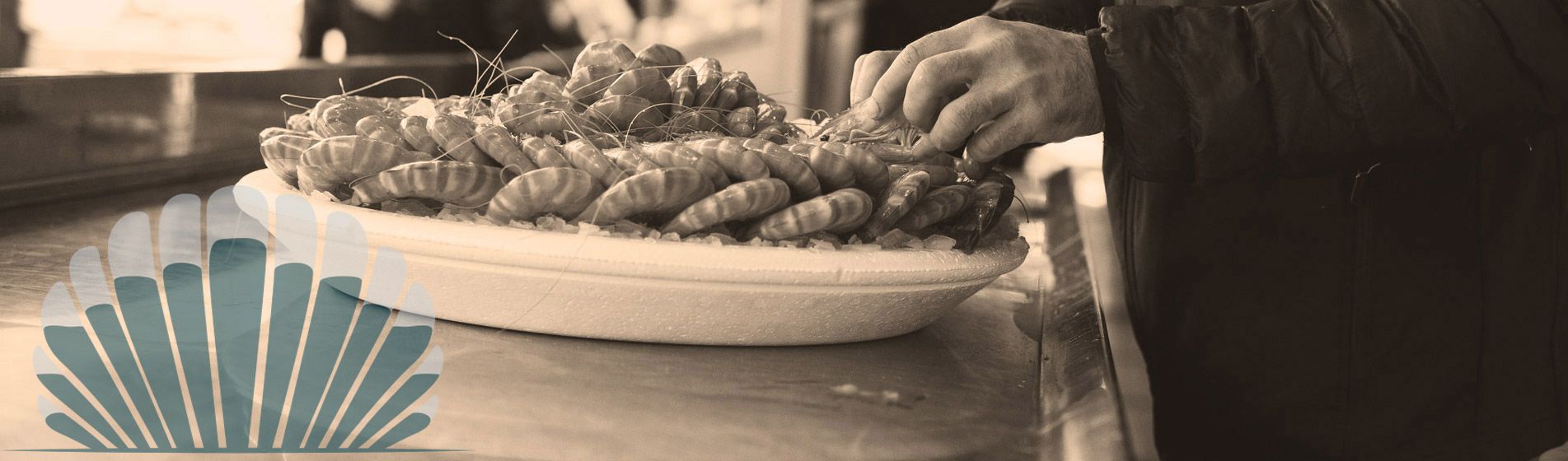 Plateau fruit de mer