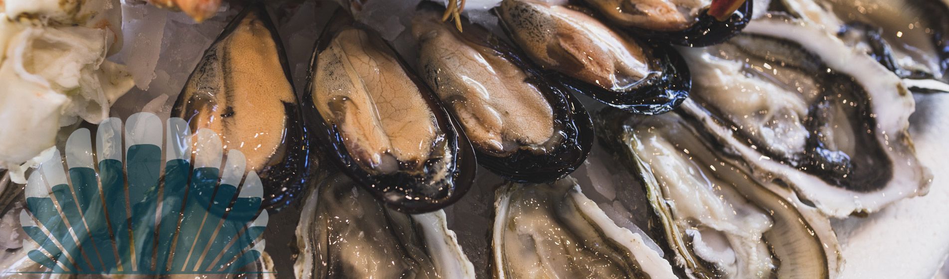 Plateau fruit de mer