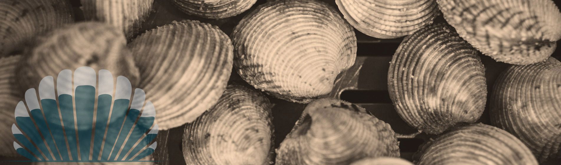 Plateau fruit de mer ouvert dimanche