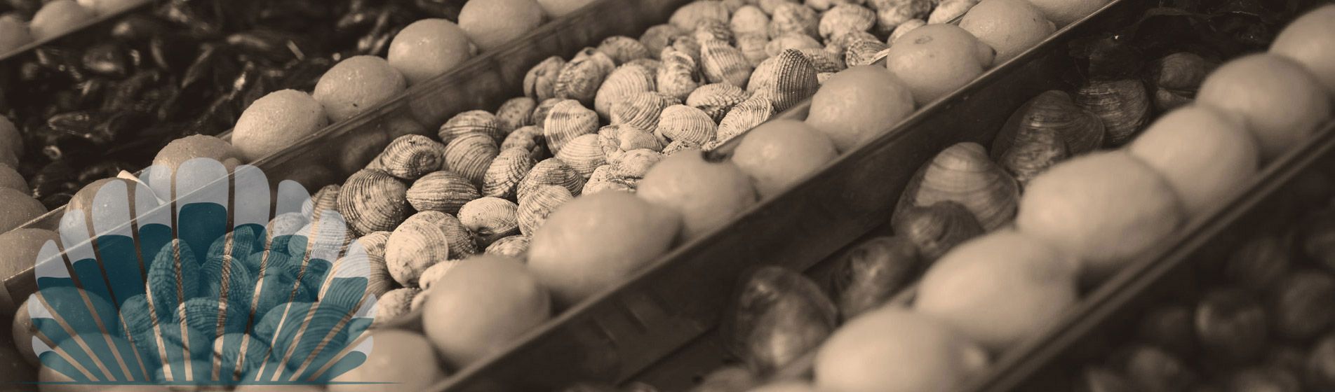 Fruit de mer Gignac-La-Nerthe (13180)