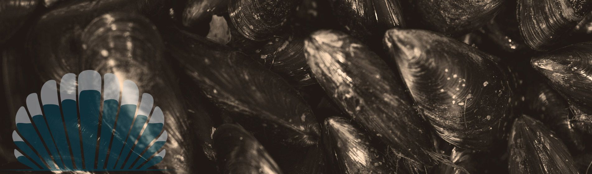 Plateau fruit de mer proximite