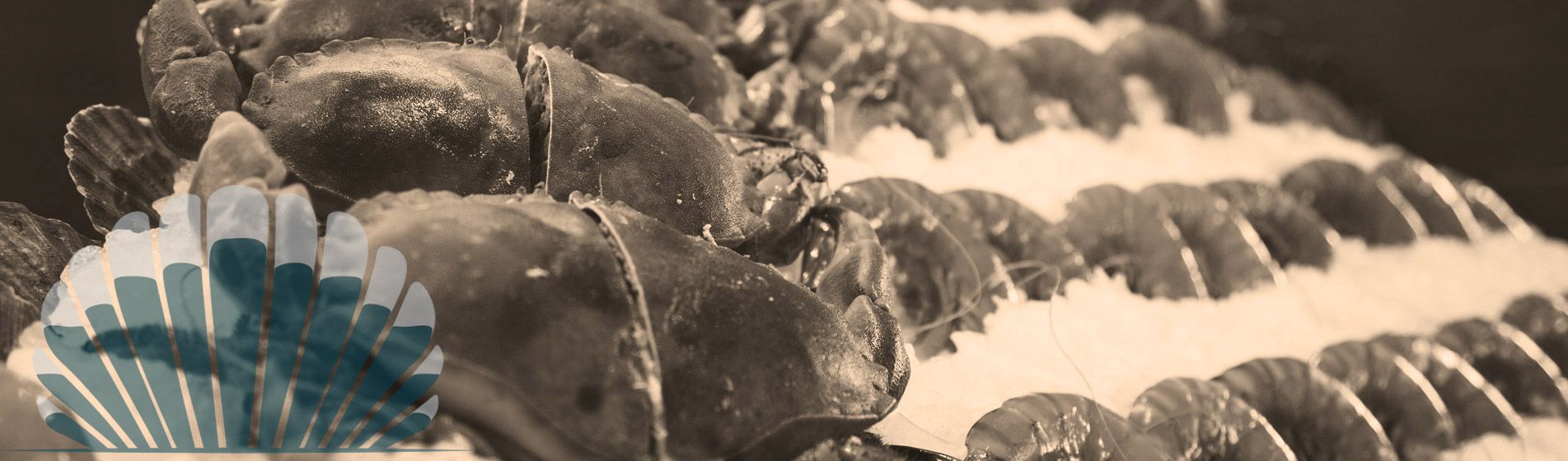 Plateau fruit de mer cru