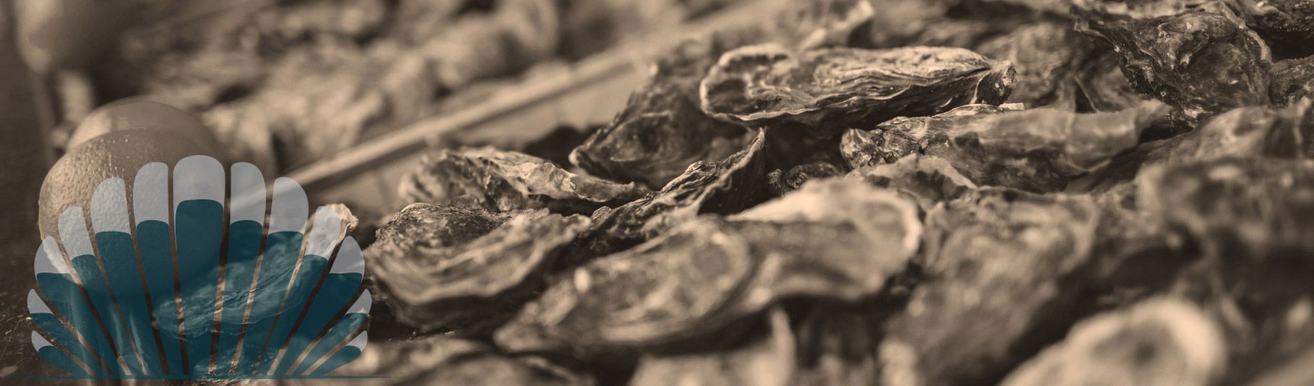 Plateau fruit de mer