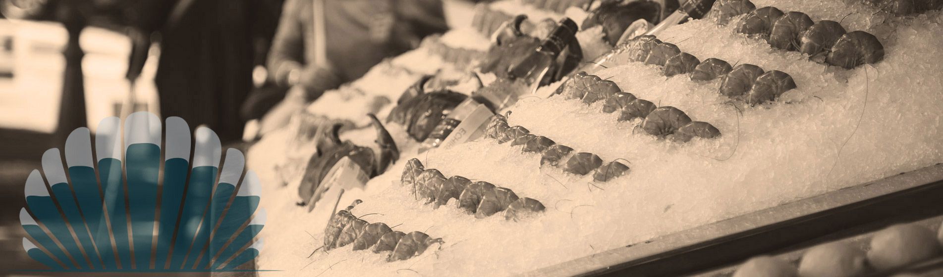 Fruit de mer Sausset-Les-Pins (13960)