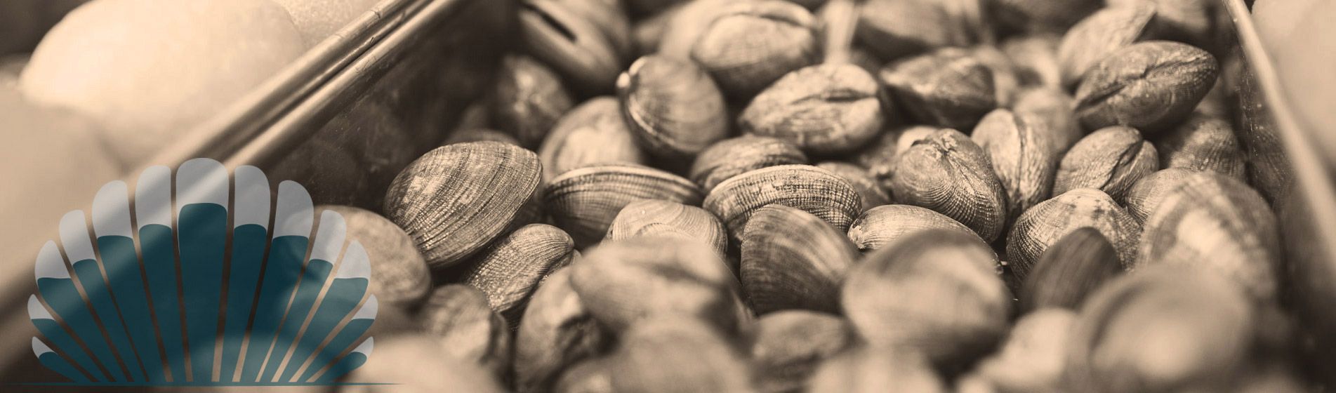 Plateau fruit de mer proximite