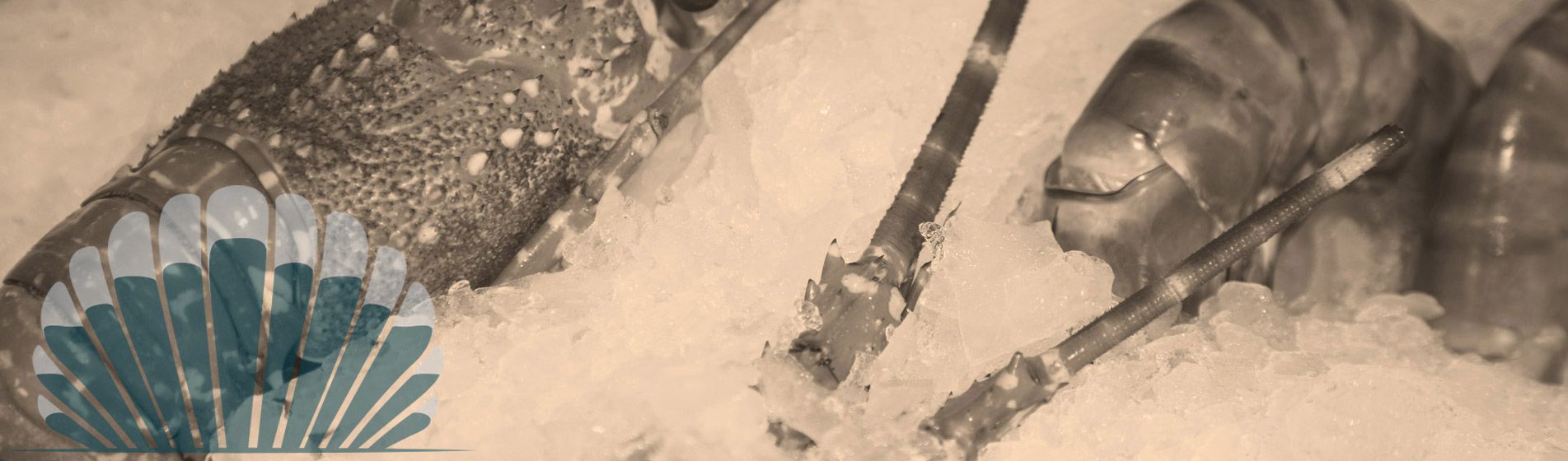 Restaurant fruit de mer