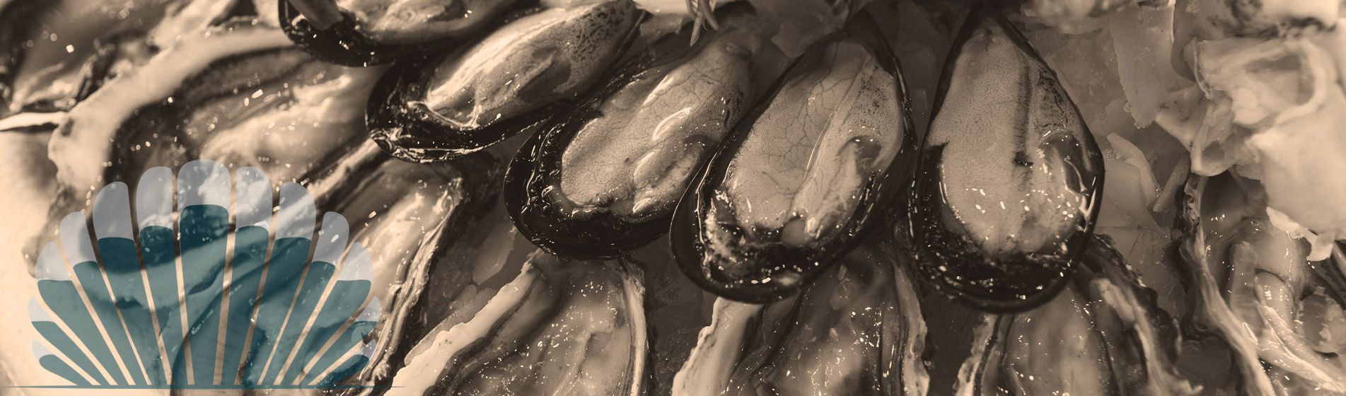 Plateau fruit de mer proximite