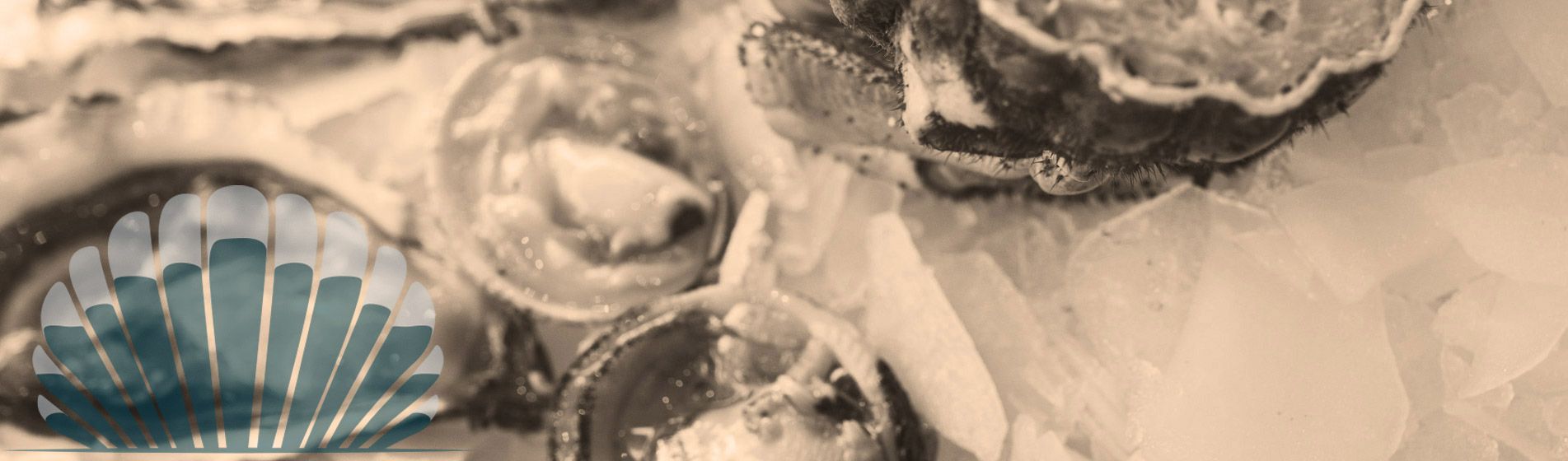 Plateau fruit de mer proximite