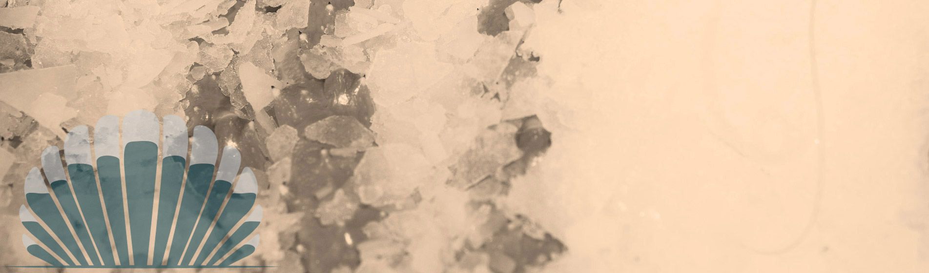 Fruit de mer proximite