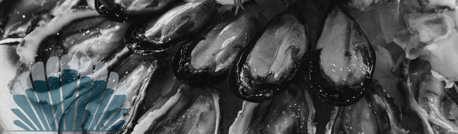 Homard Meyreuil (13590)