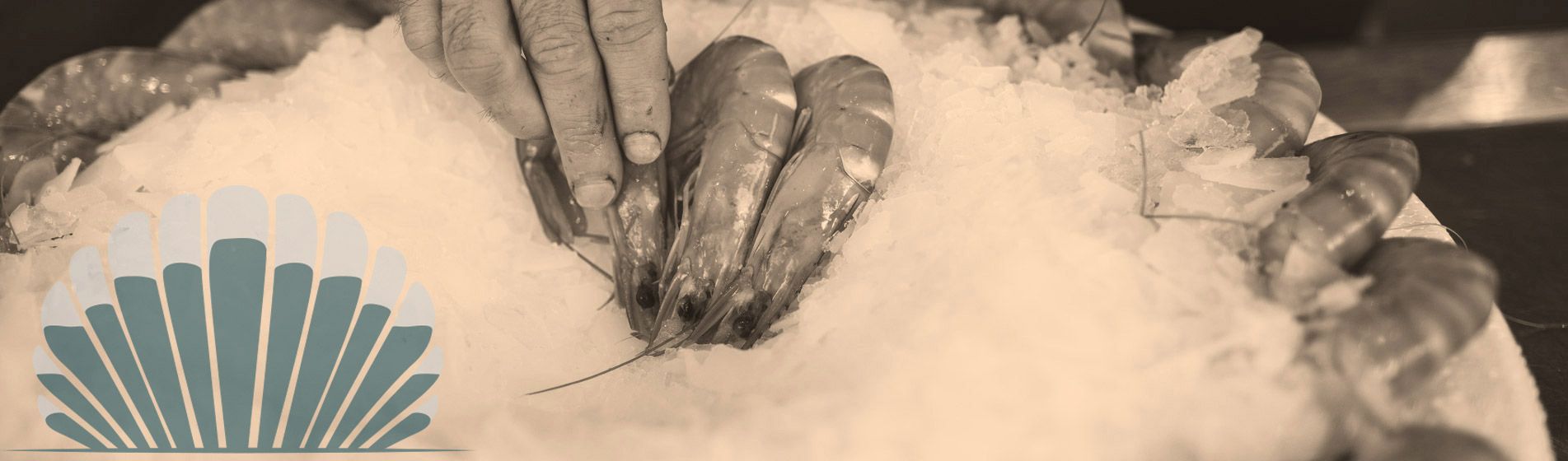 Homard Cabriès (13480)