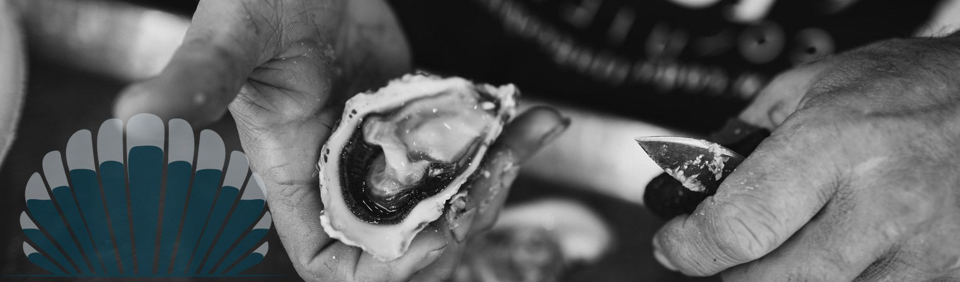 Homard Riboux (13780)