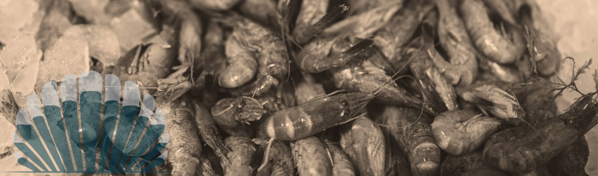 Homard Belcodène (13720)