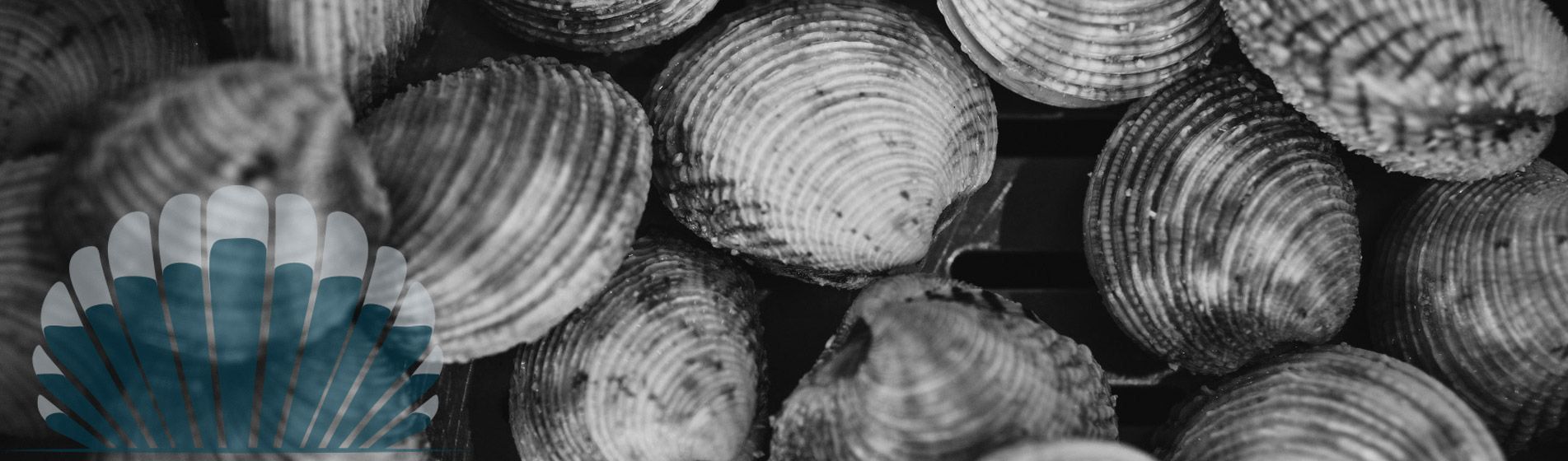 Homard Marignane (13700)