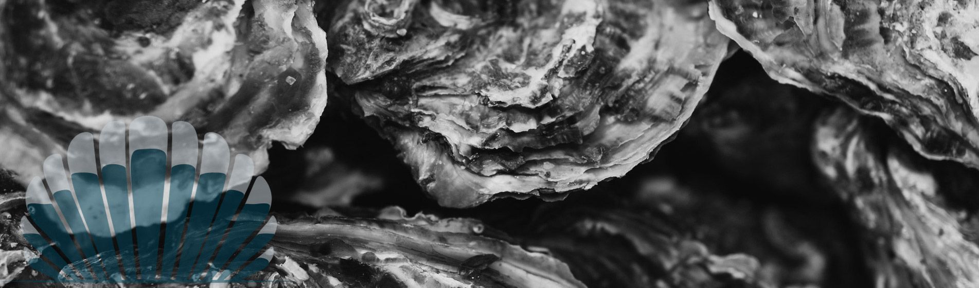 Resto homard Riboux (13780)