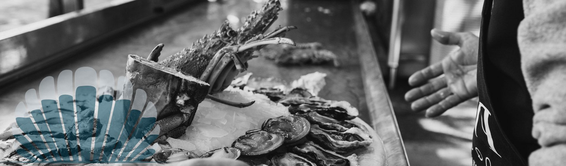 Homard Cadolive (13950)