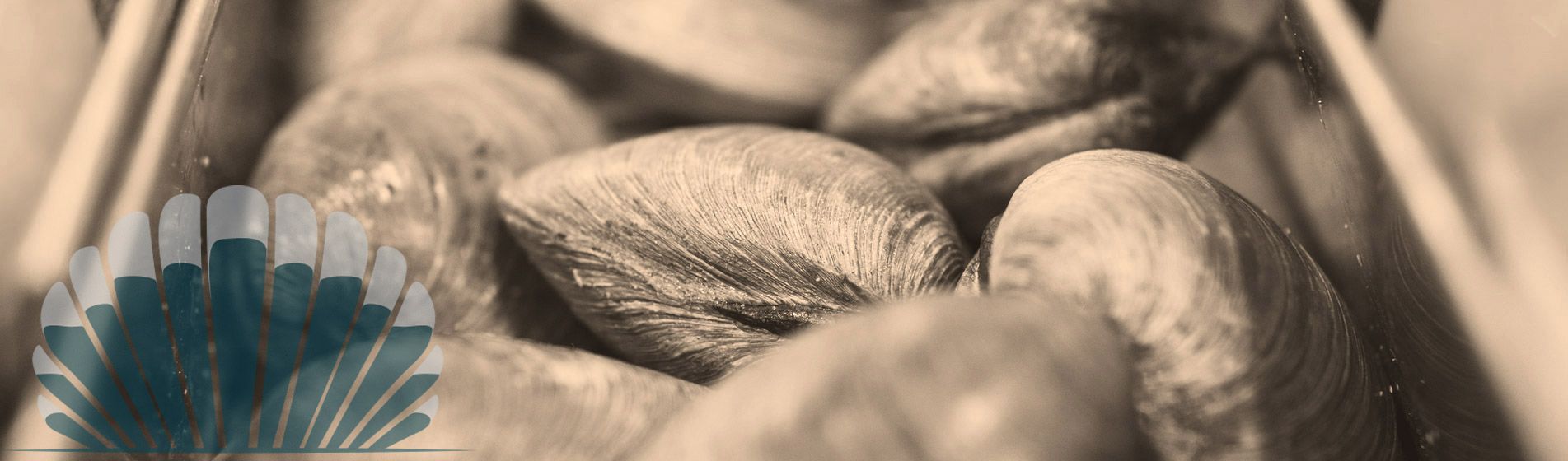 Homard Cuges-Les-Pins (13780)