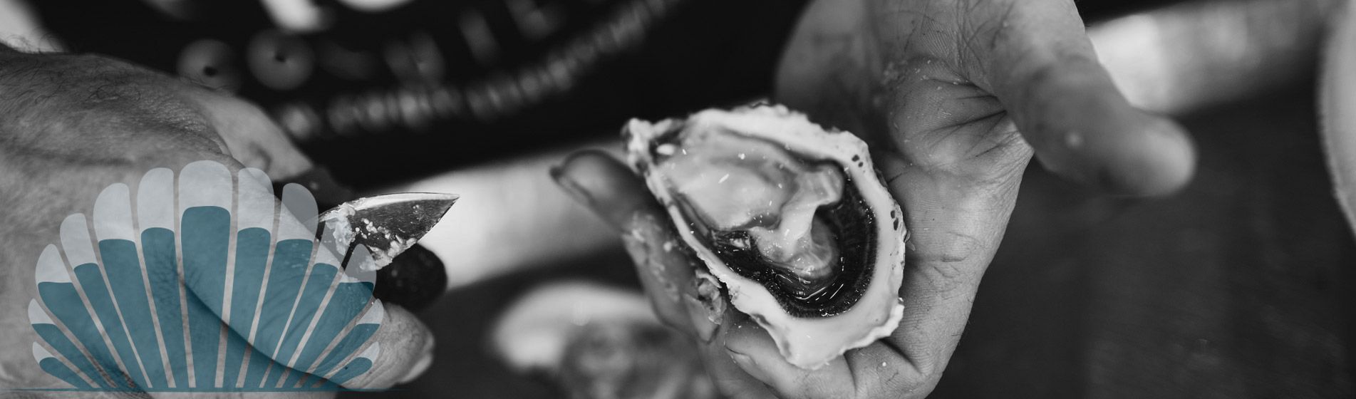 Huitre Marignane (13700)