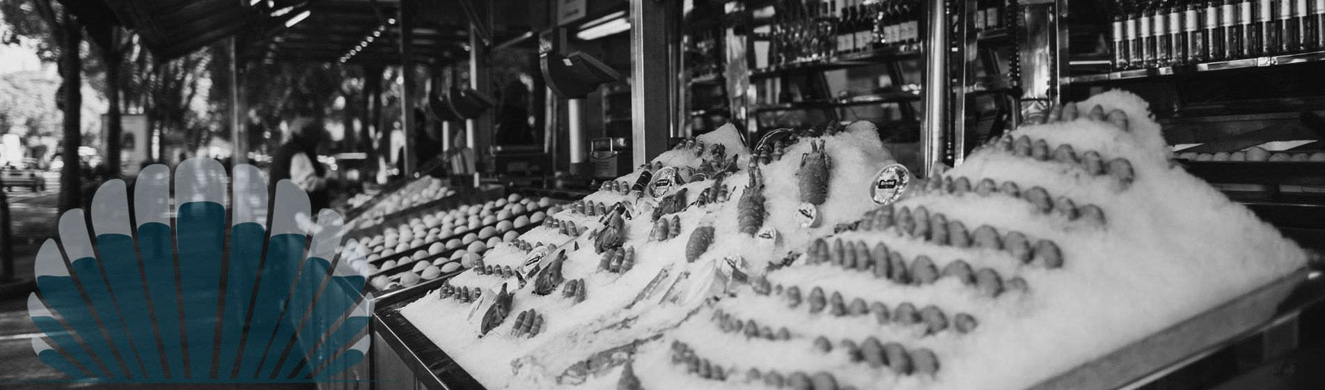 Degustation huitre ouvert dimanche