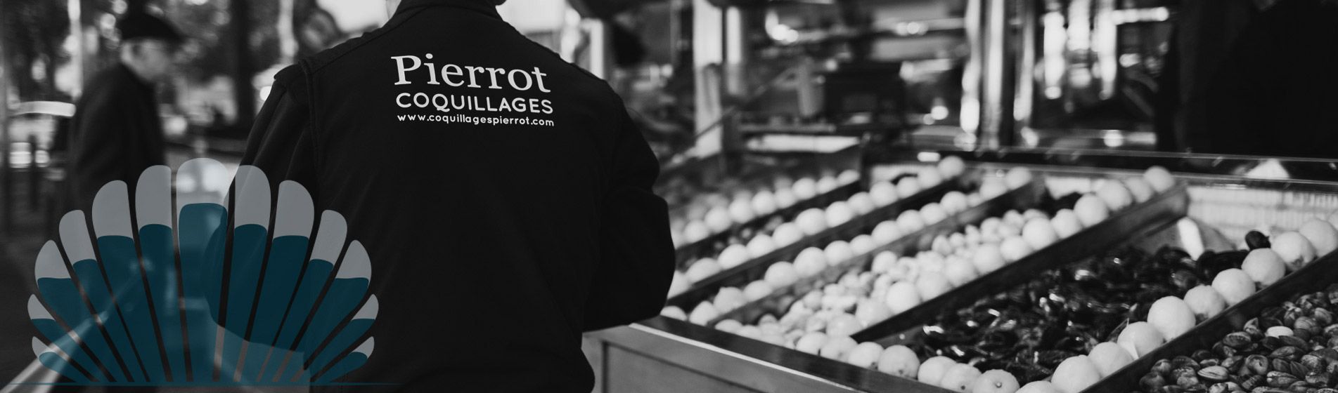 Degustation huitre bouzigues