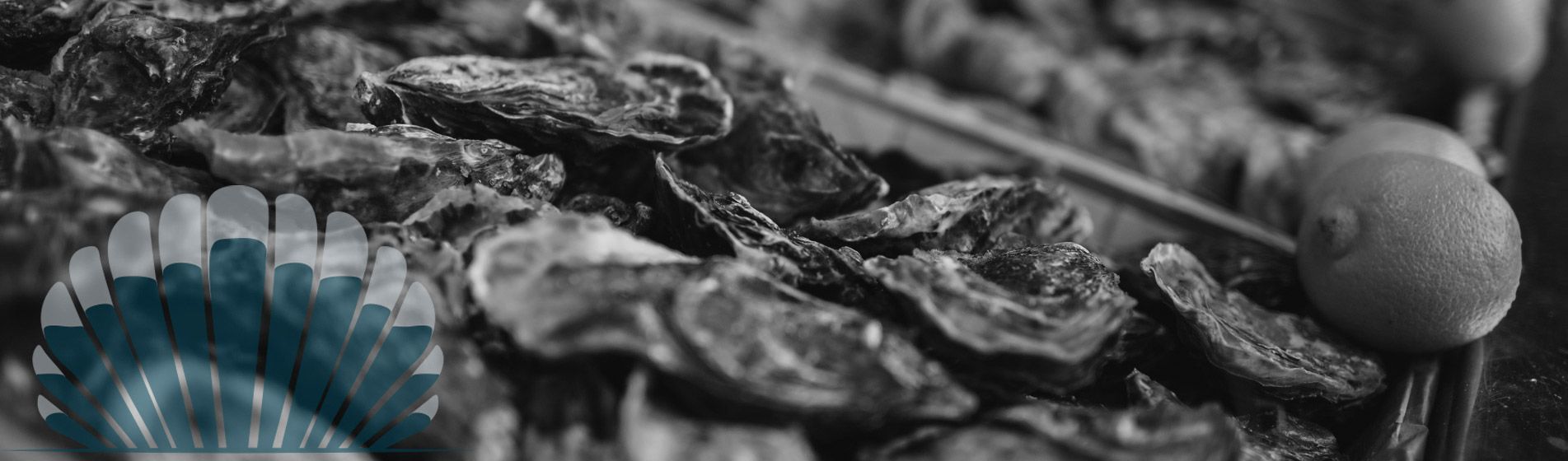 Degustation huitre proximite