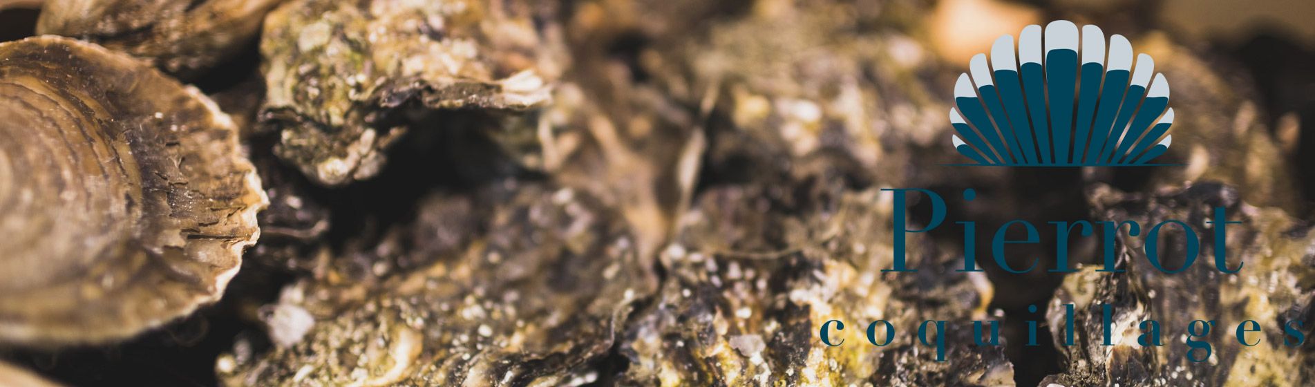 Huitre verte de claire