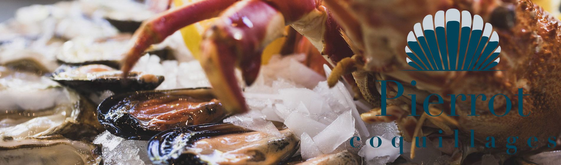 Degustation huitre ouvert dimanche