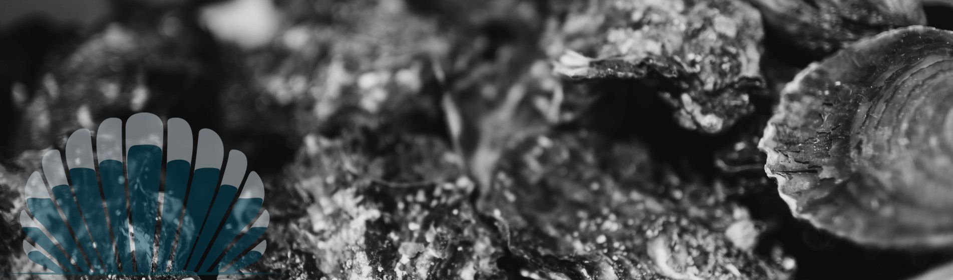 Degustation huitre proximite
