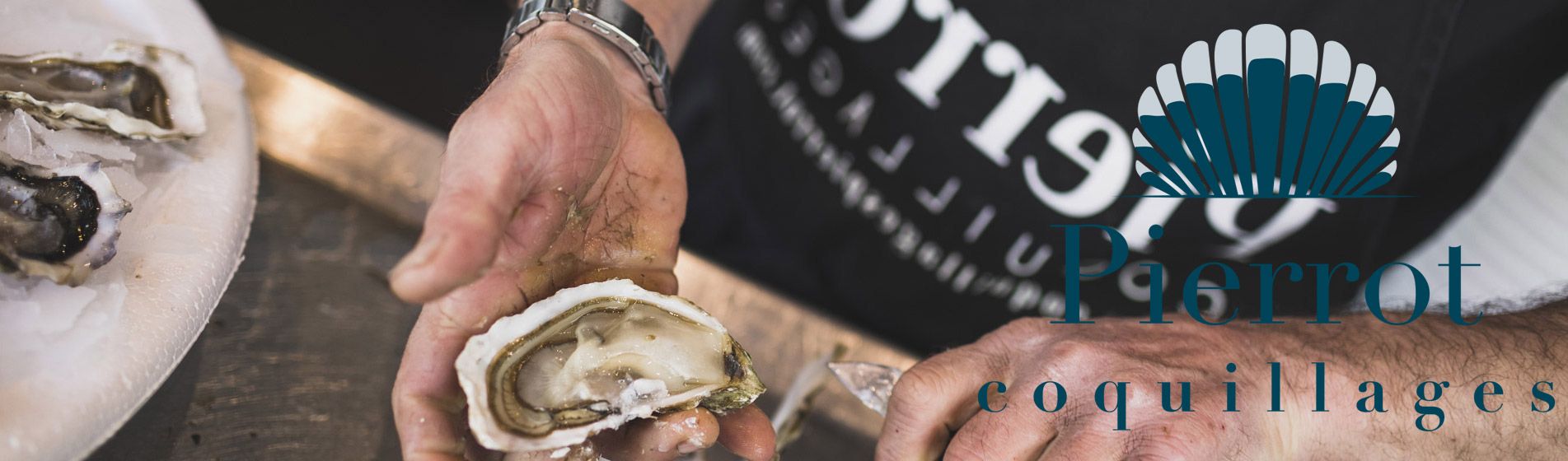 Huitre verte de claire