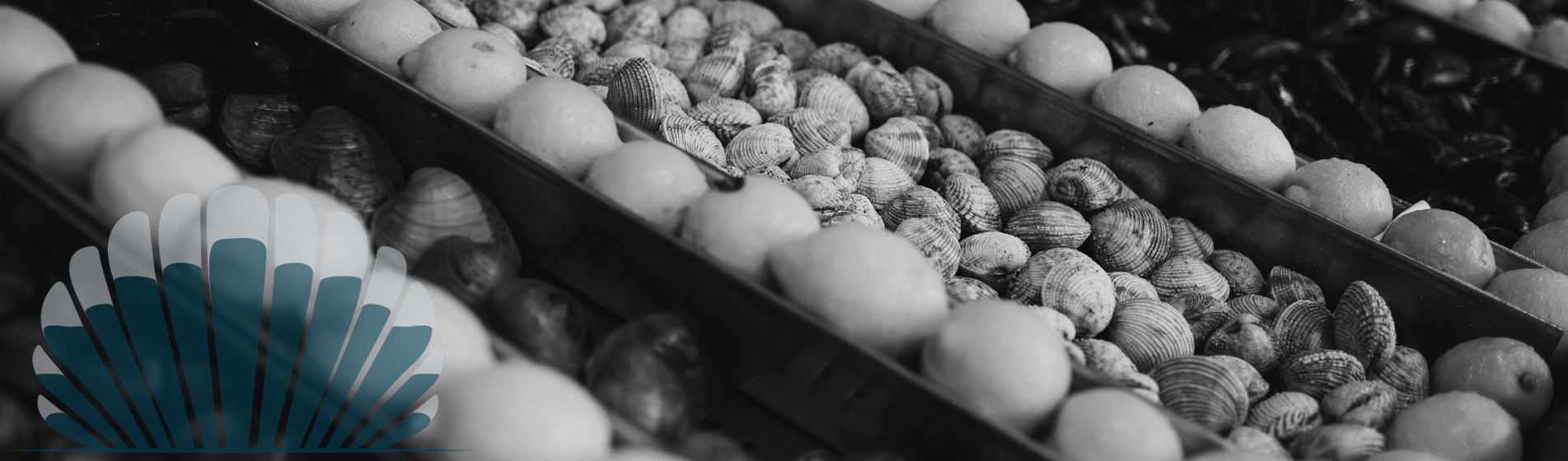 Degustation huitre gillardeau