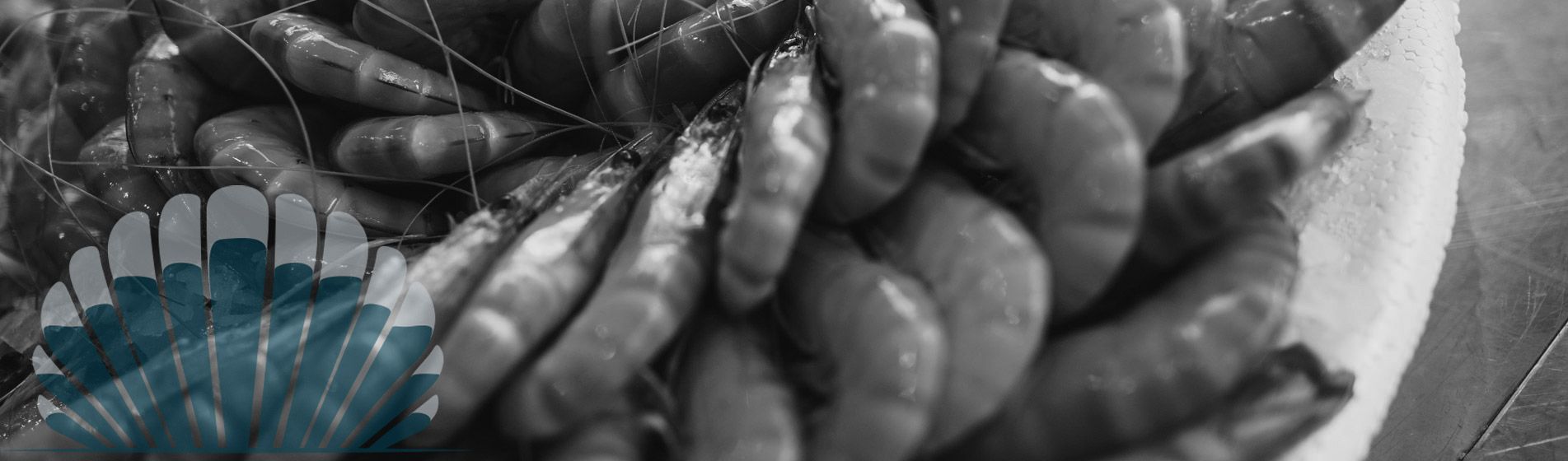 Degustation huitre gillardeau