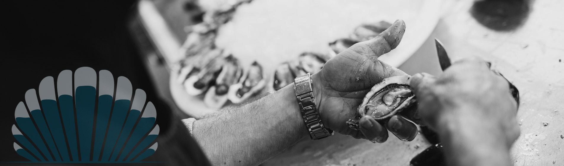 Degustation huitre gillardeau