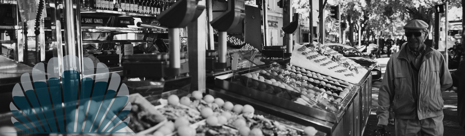 Huitre verte de claire