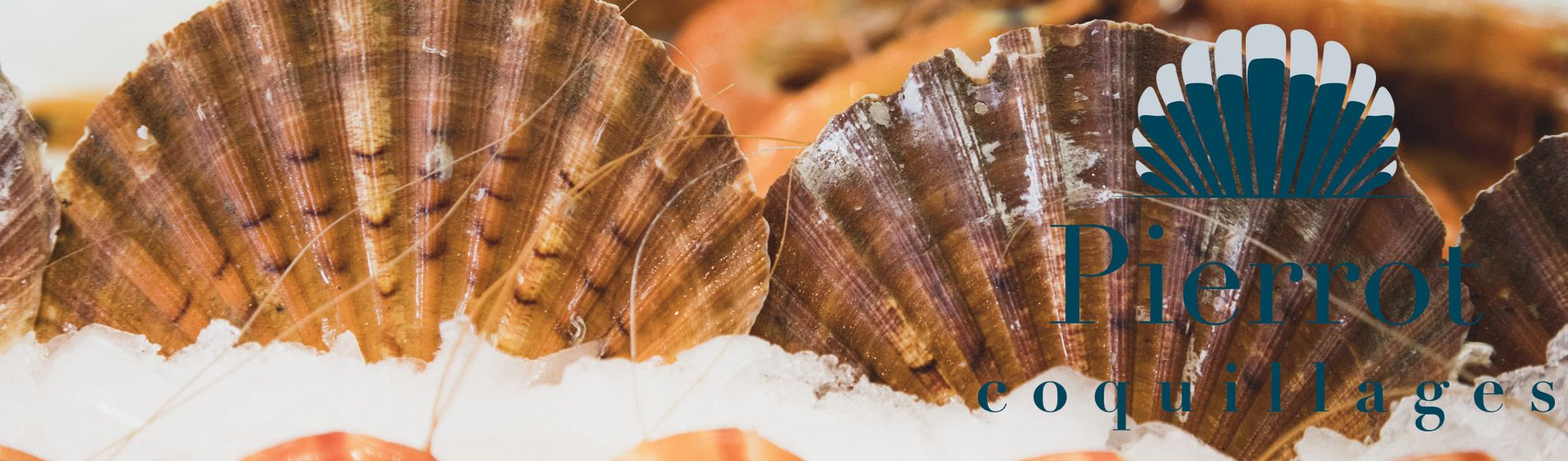 Resto huitre bouzigues