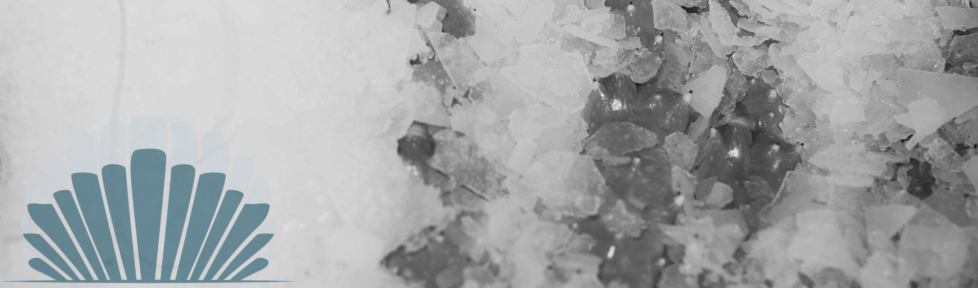 Resto huitre bouzigues