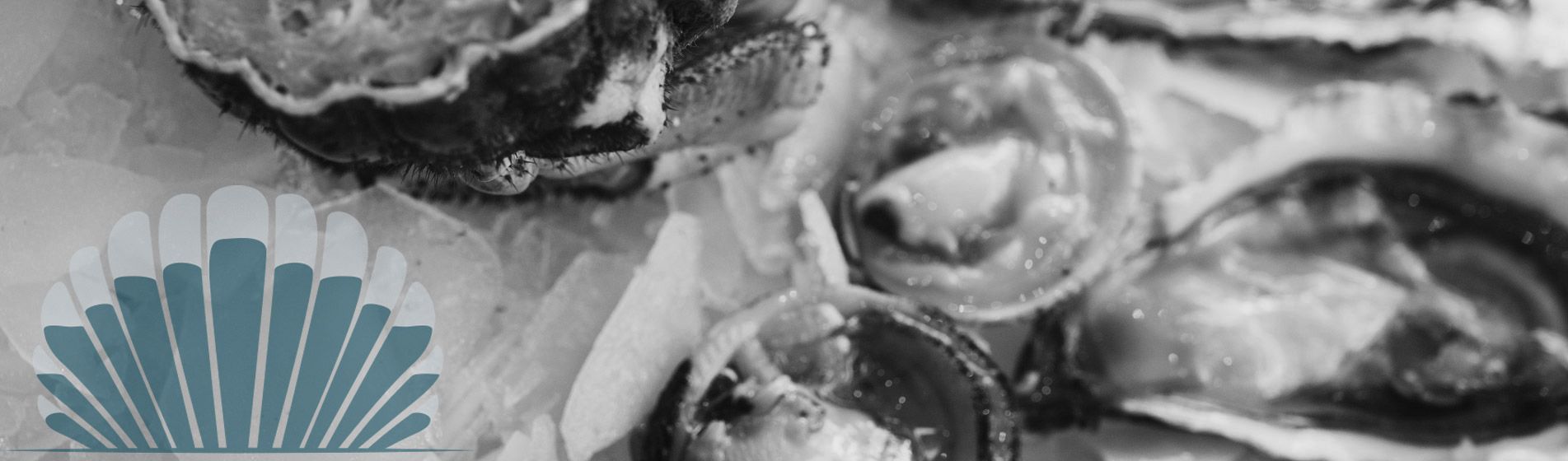 Degustation huitre ouvert dimanche