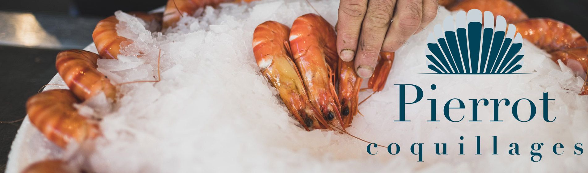 Langouste Auriol (13390)