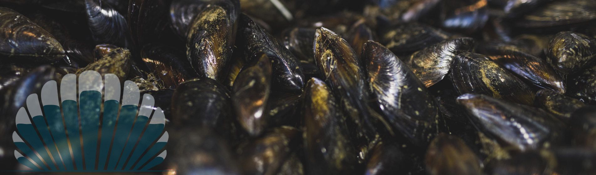 Restaurant moule ouvert dimanche