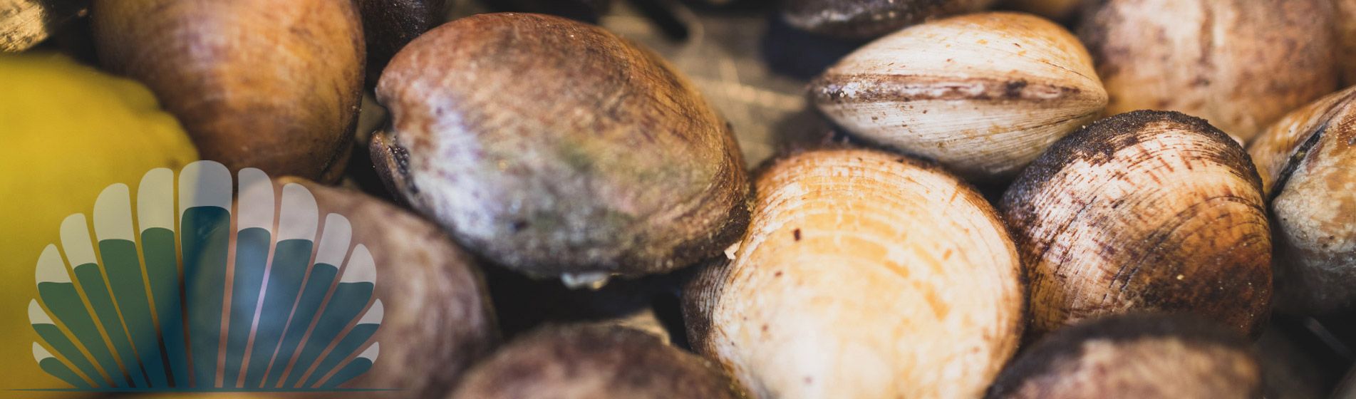 Degustation moule Gréasque (13850)